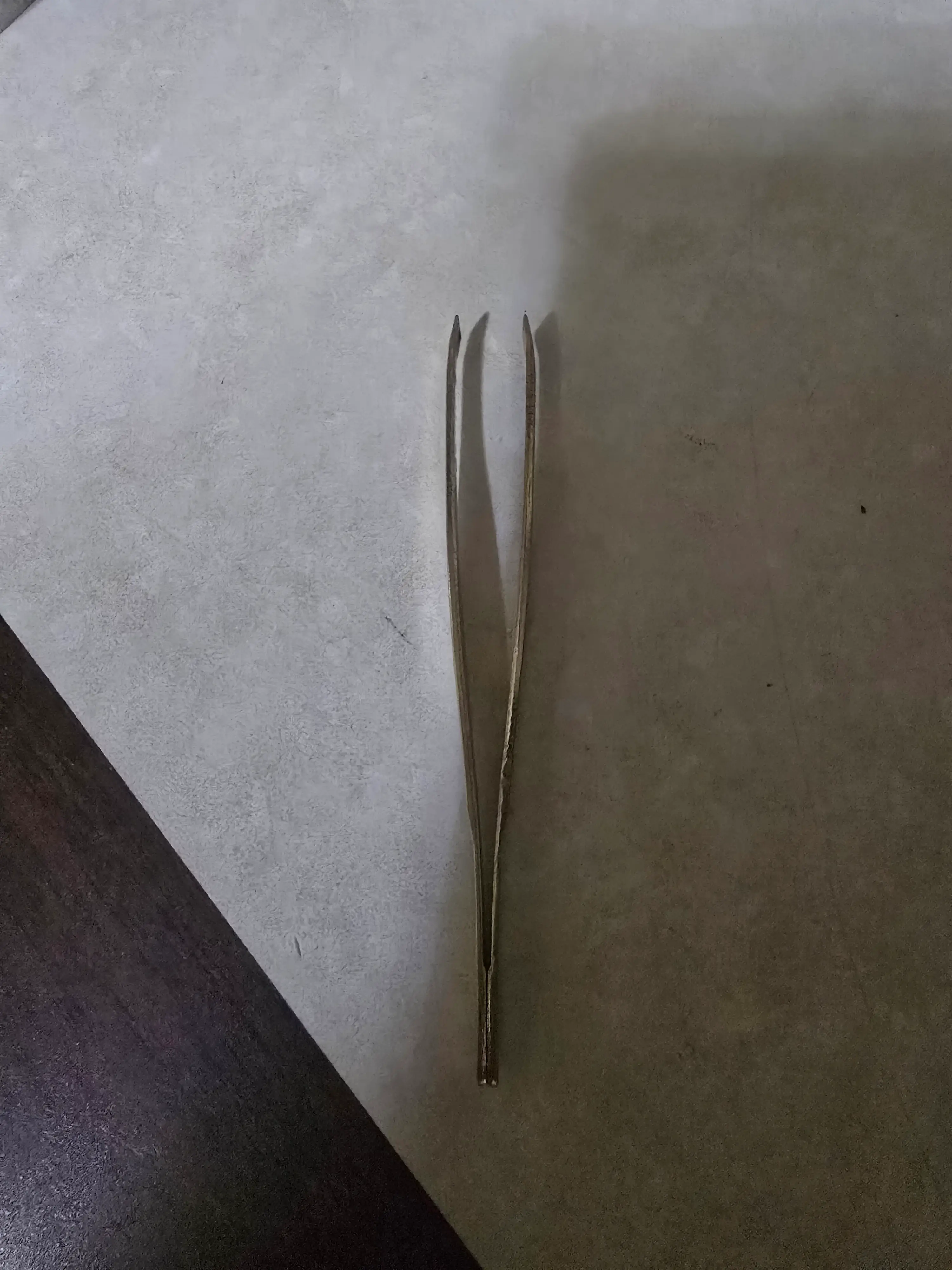 선택된 언니의파우치 리뷰 이미지 - [올리브 데코 족집게 일반형]