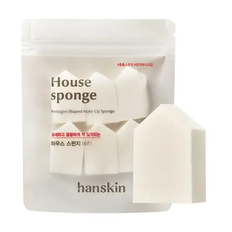 하우스 스펀지