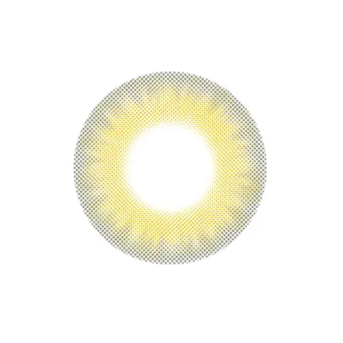 토니아이 원데이 [브라운]