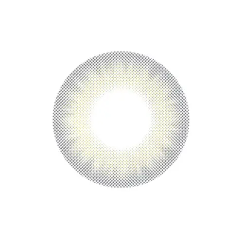 토니아이 원데이 [그레이]