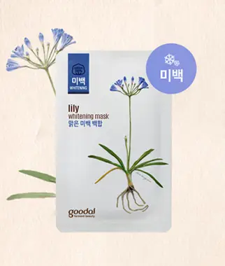 백합 마스크 팩 5+5