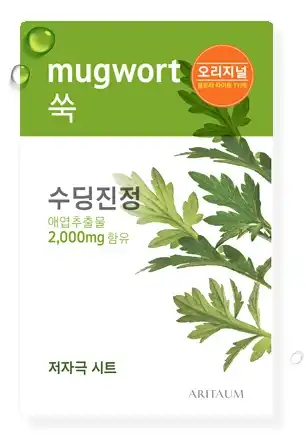 프레시 파워 에센스 마스크 오리지널 02 쑥