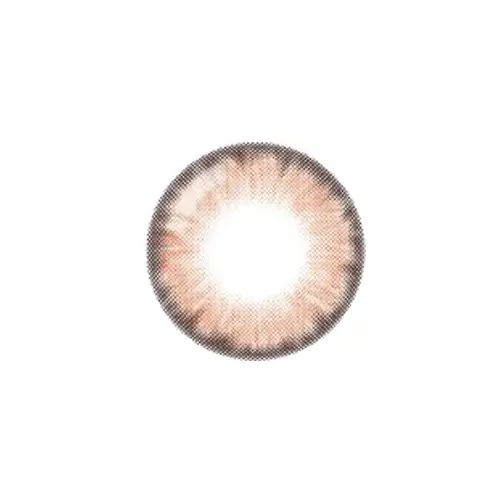 원더아이 원데이 [브라운]