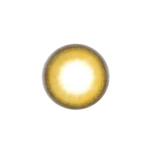 데이린 [브라운]