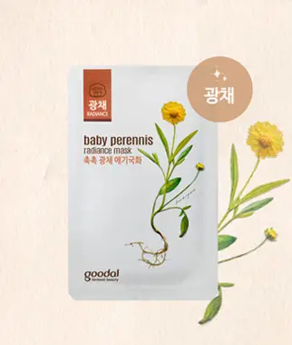 애기국화 마스크 팩 5+5