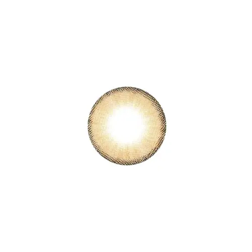 메이크오버 원데이 홀리브 [브라운]
