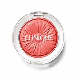 치크 팝 [04 플럼 팝]