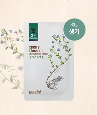 벚꽃 마스크 팩 5+5