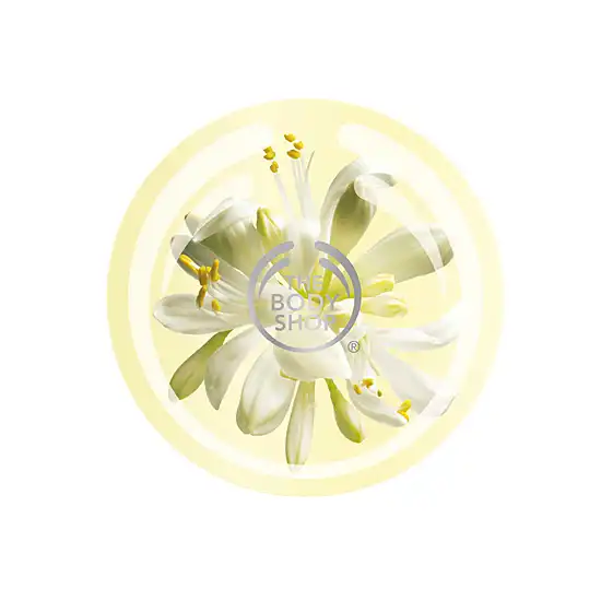 모링가 바디 버터