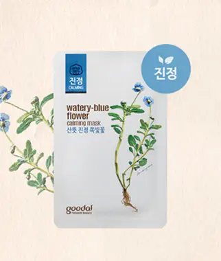 쪽빛꽃 마스크 팩 5+5