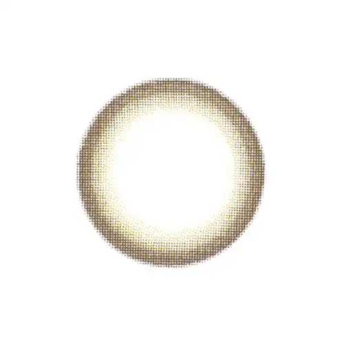 온고잉 [브라운]