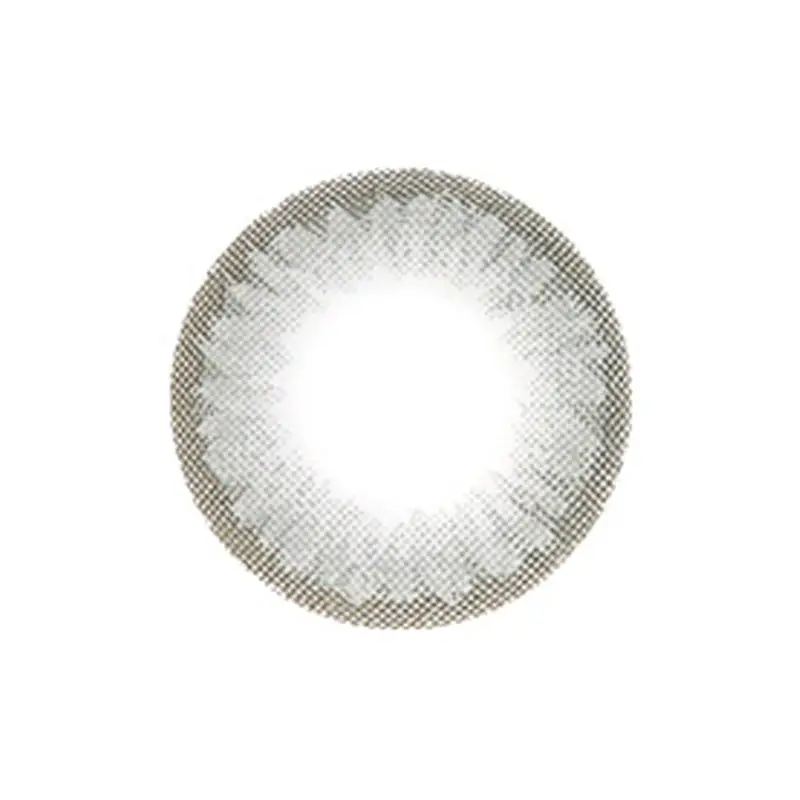 노블샤인 프로즌 원데이 [그레이]