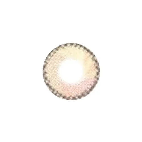 블루밍드림 [브라운]