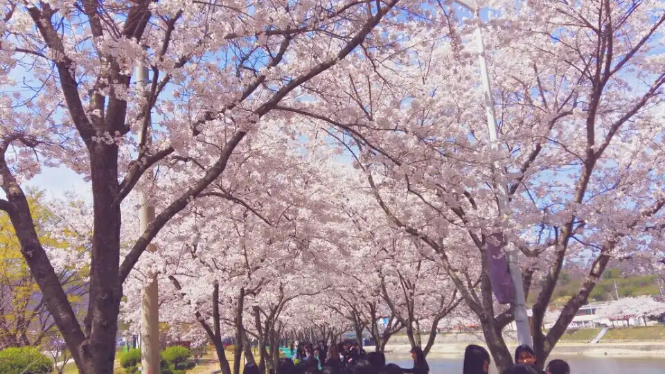 네은