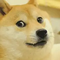 이령잉
