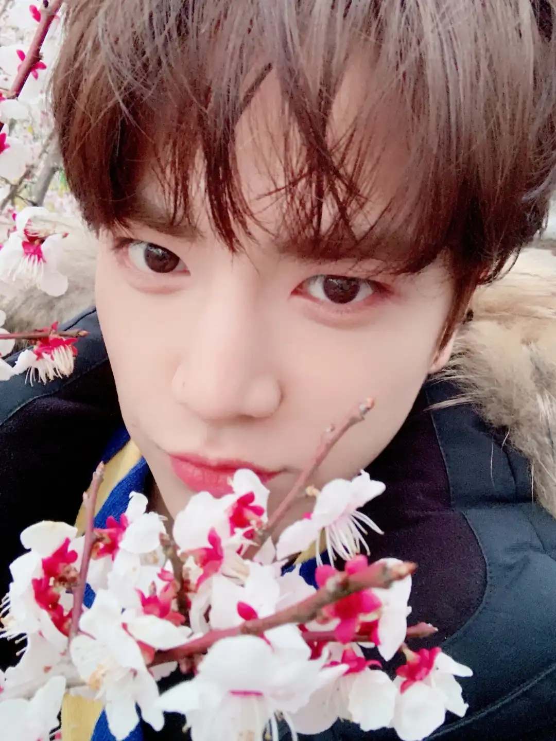 주또먹