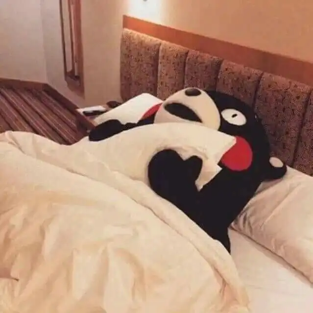 조명은달로해