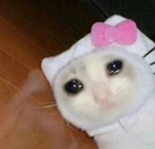 bin_빈_