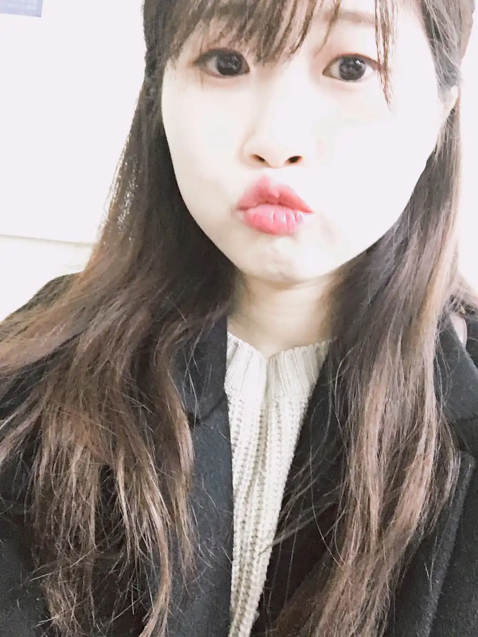 시리우스꼴뚜기