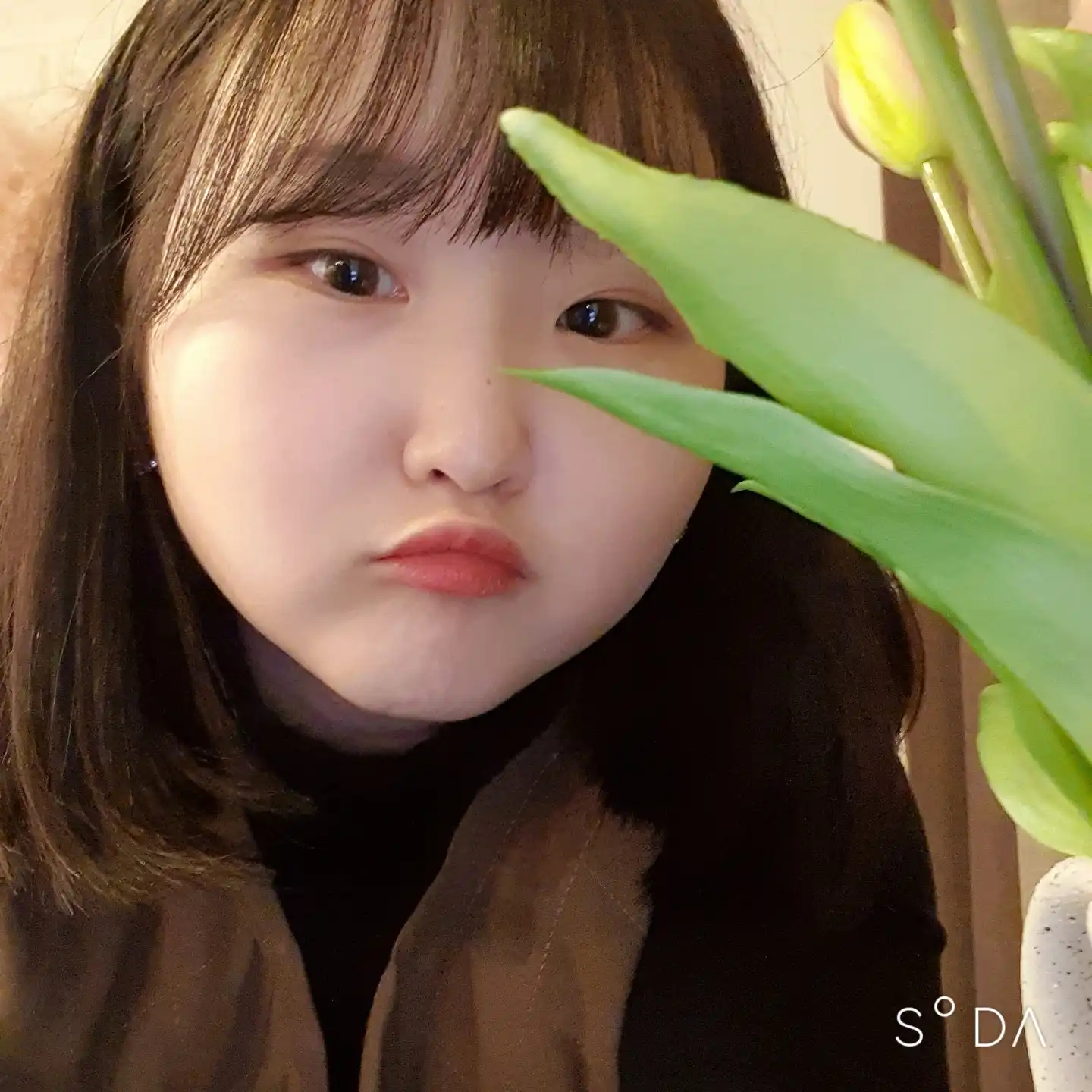 나만화장품없어
