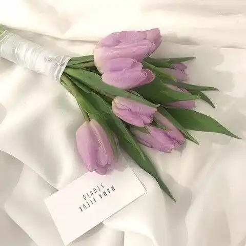 탱굴탱굴taetae