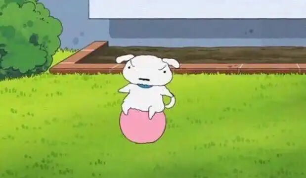 짱구는말려