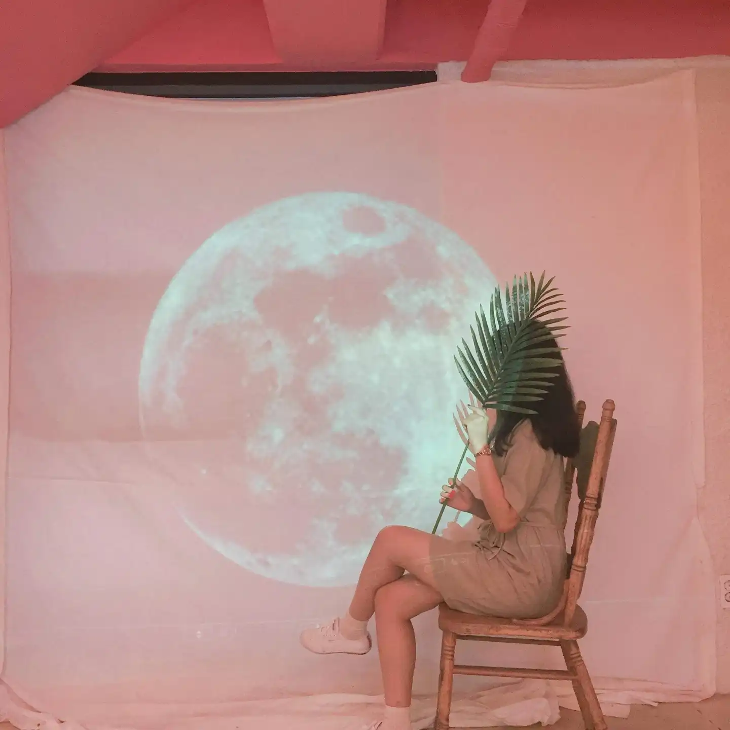 정상인세종