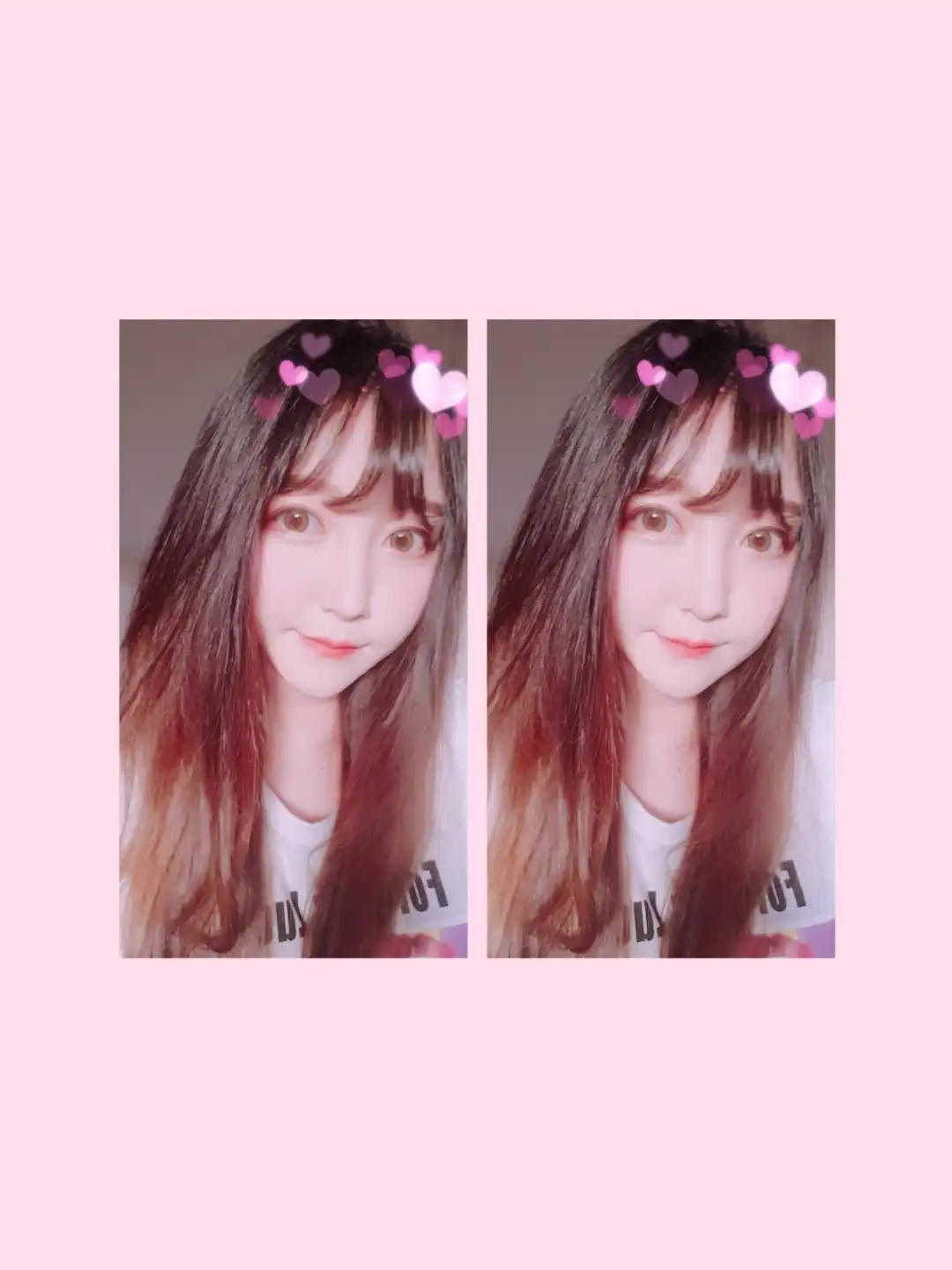 다뚜니