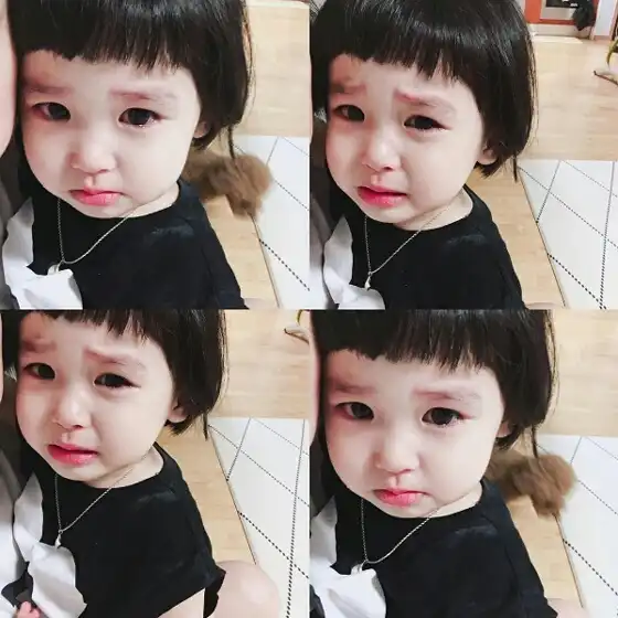 비글여섯마리