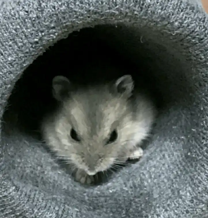옴뇸냠