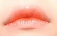 우지호가조아효