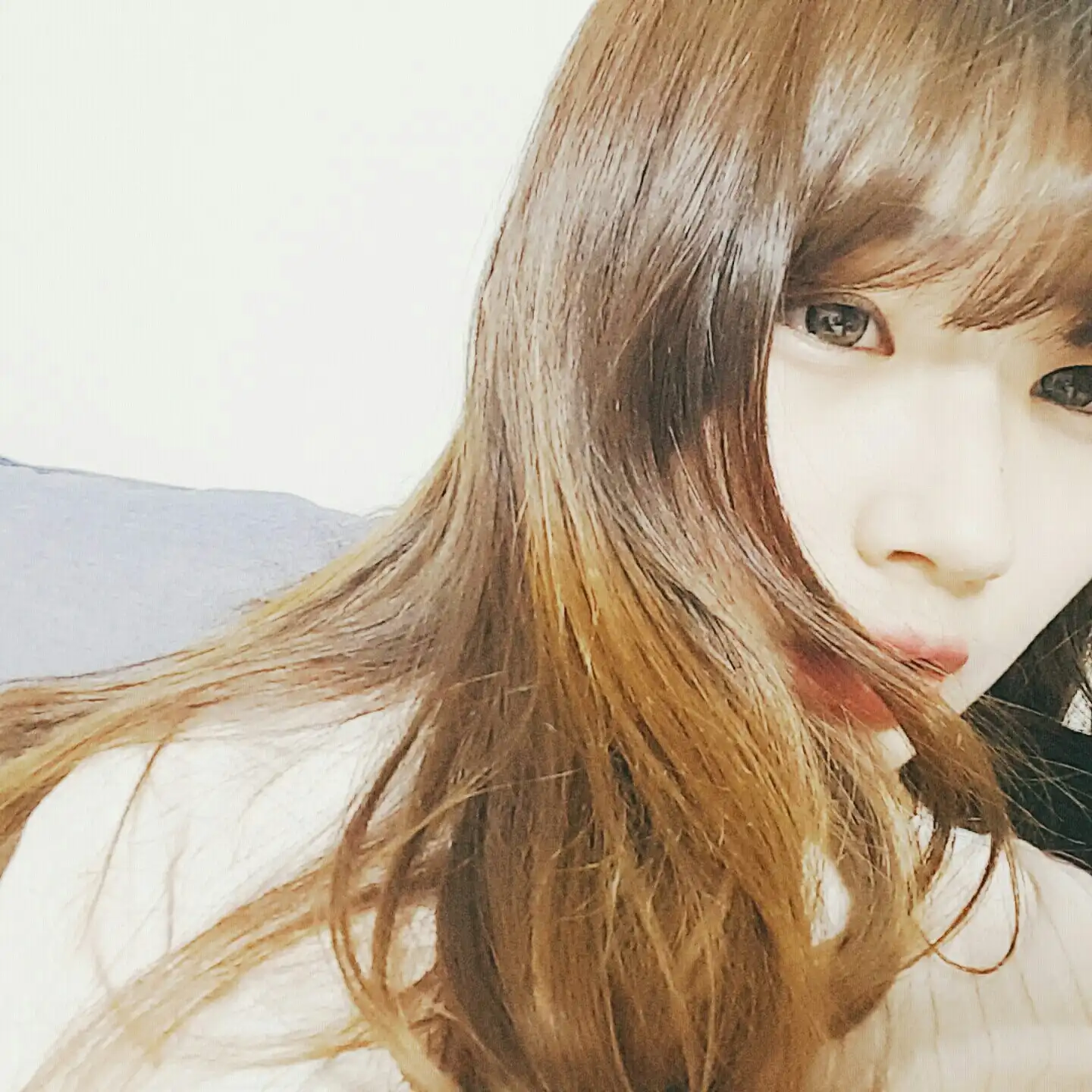 자몽치
