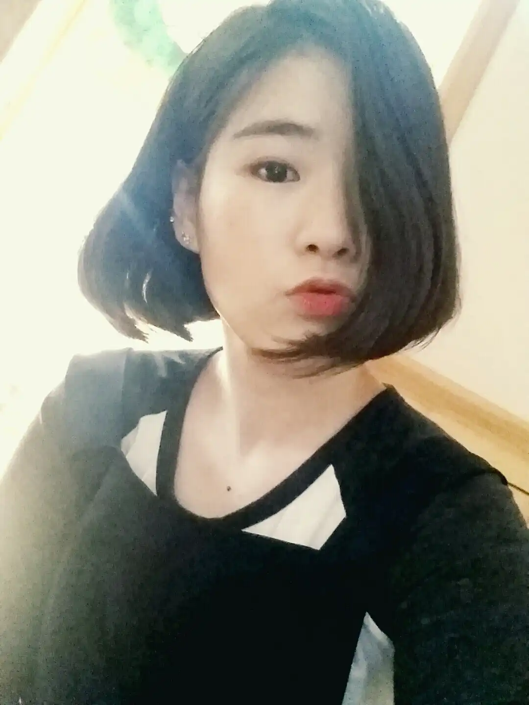 뽀보봅