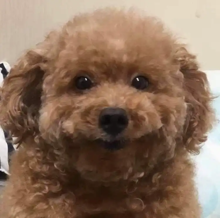 무녜뇨무녜뇨