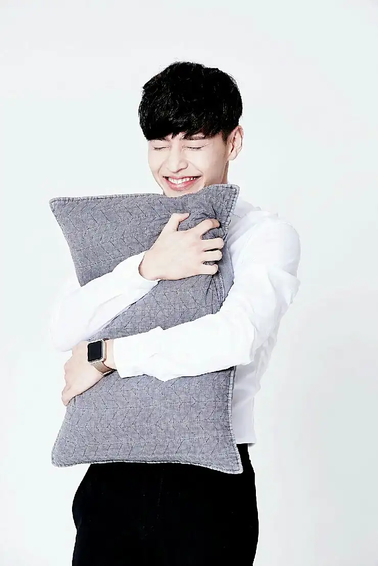 푸린퓨리