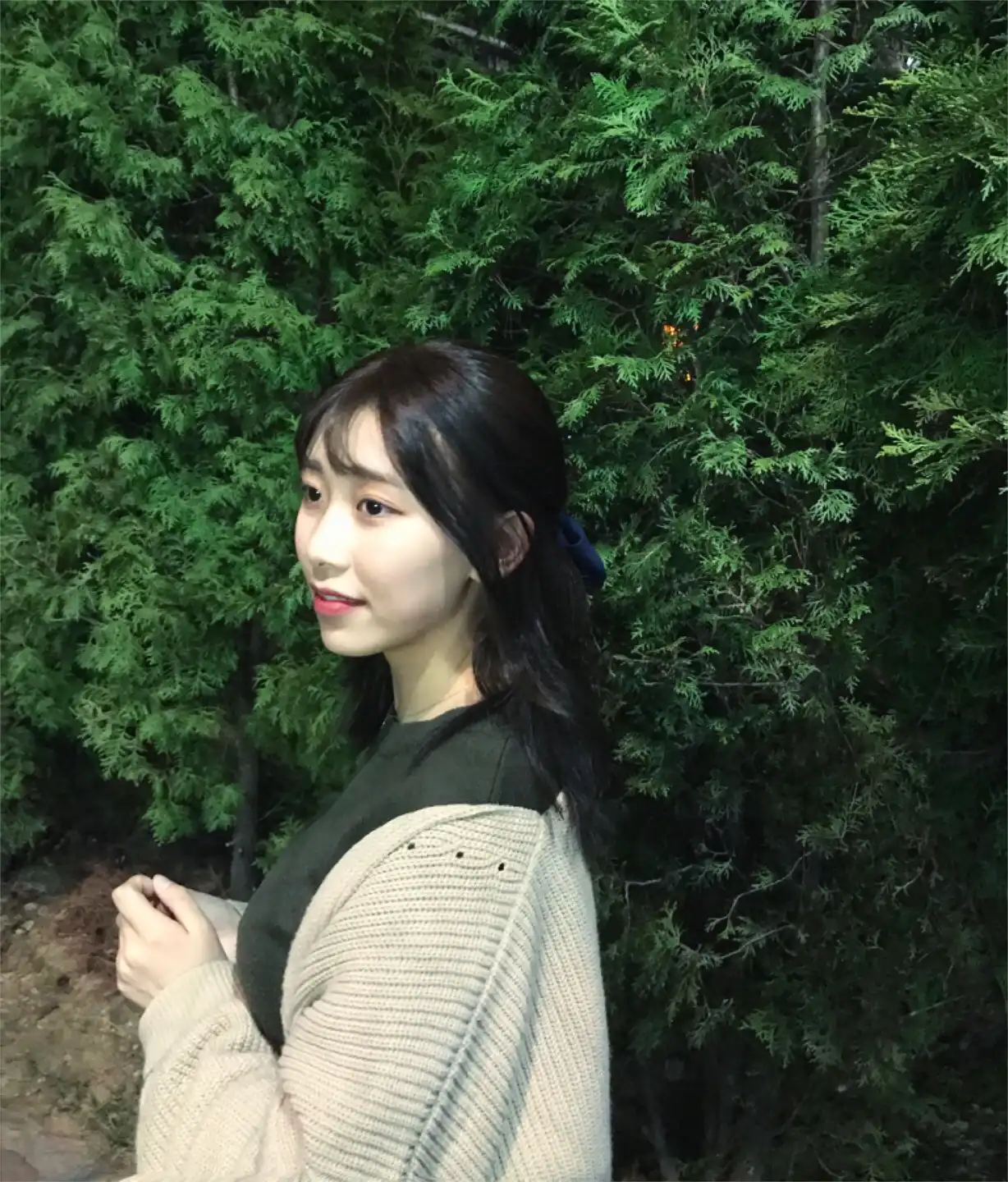 다고밈