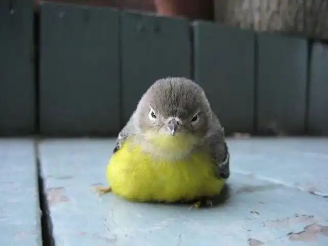 9714