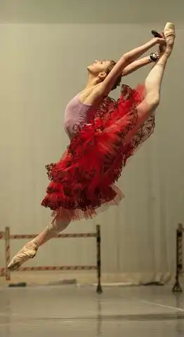 swanlake