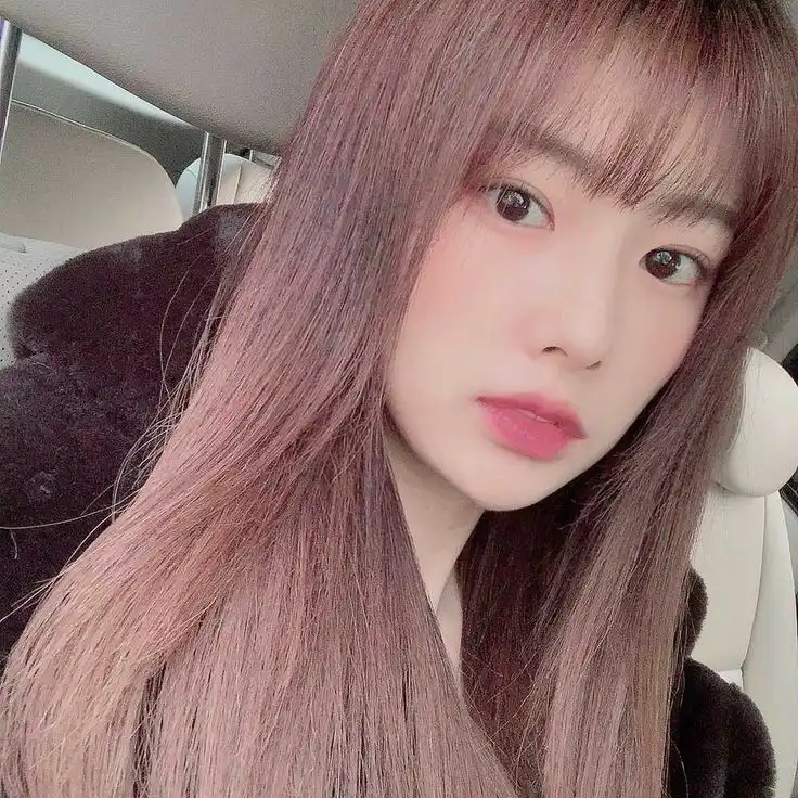 뽕닉