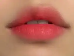 DO연