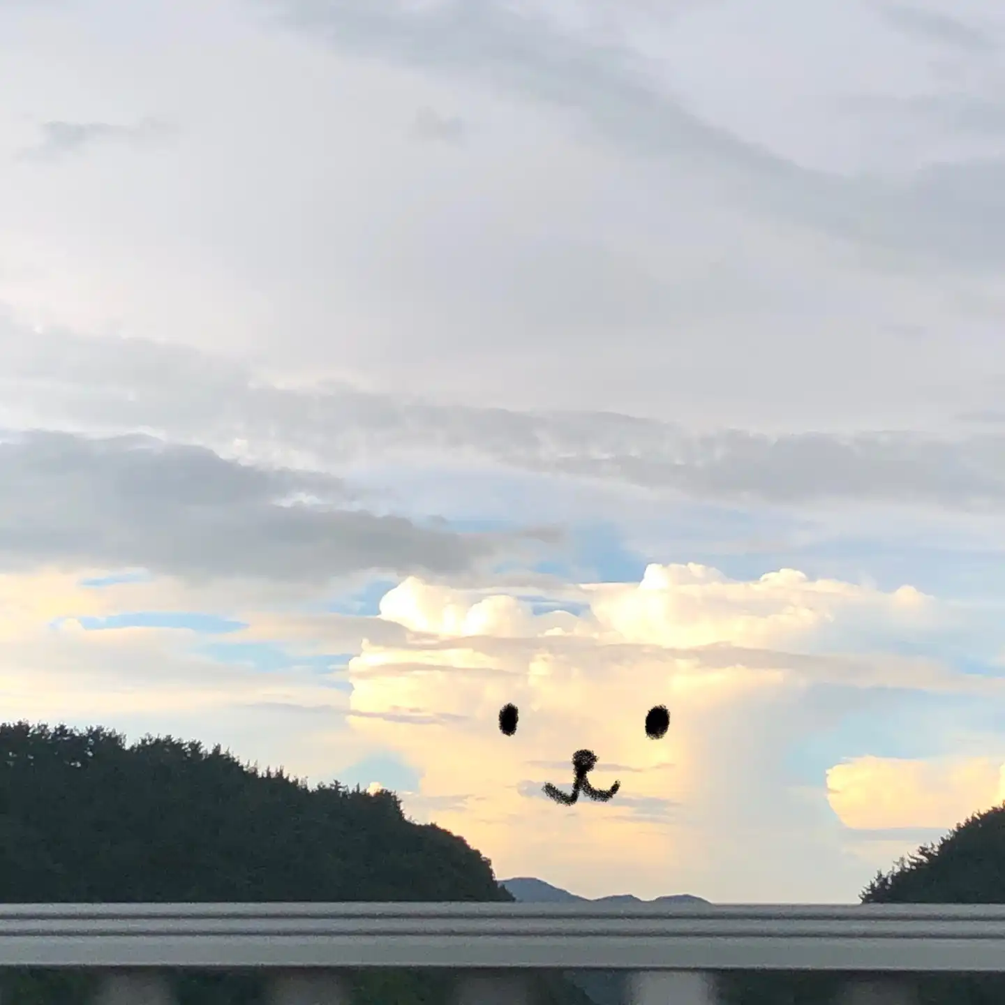 알파카뇸뇸