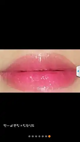 토리강아지