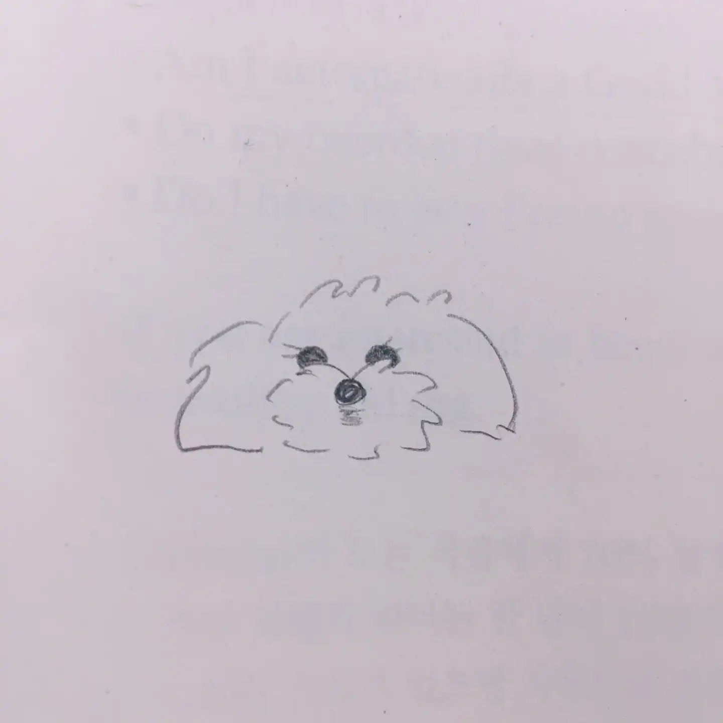 낑깡뀽꽁낑