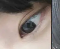 오징어해물탕