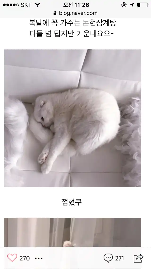 냥이가젤루미