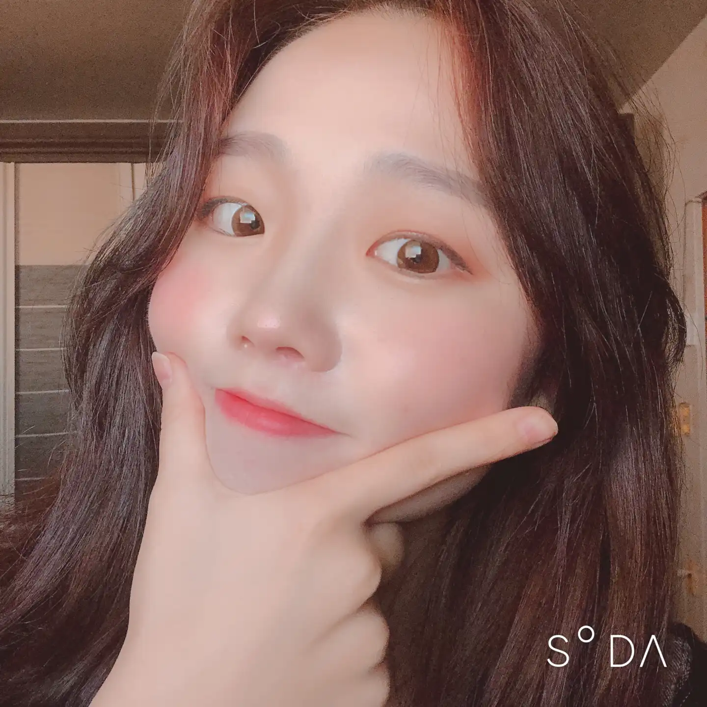 아르테