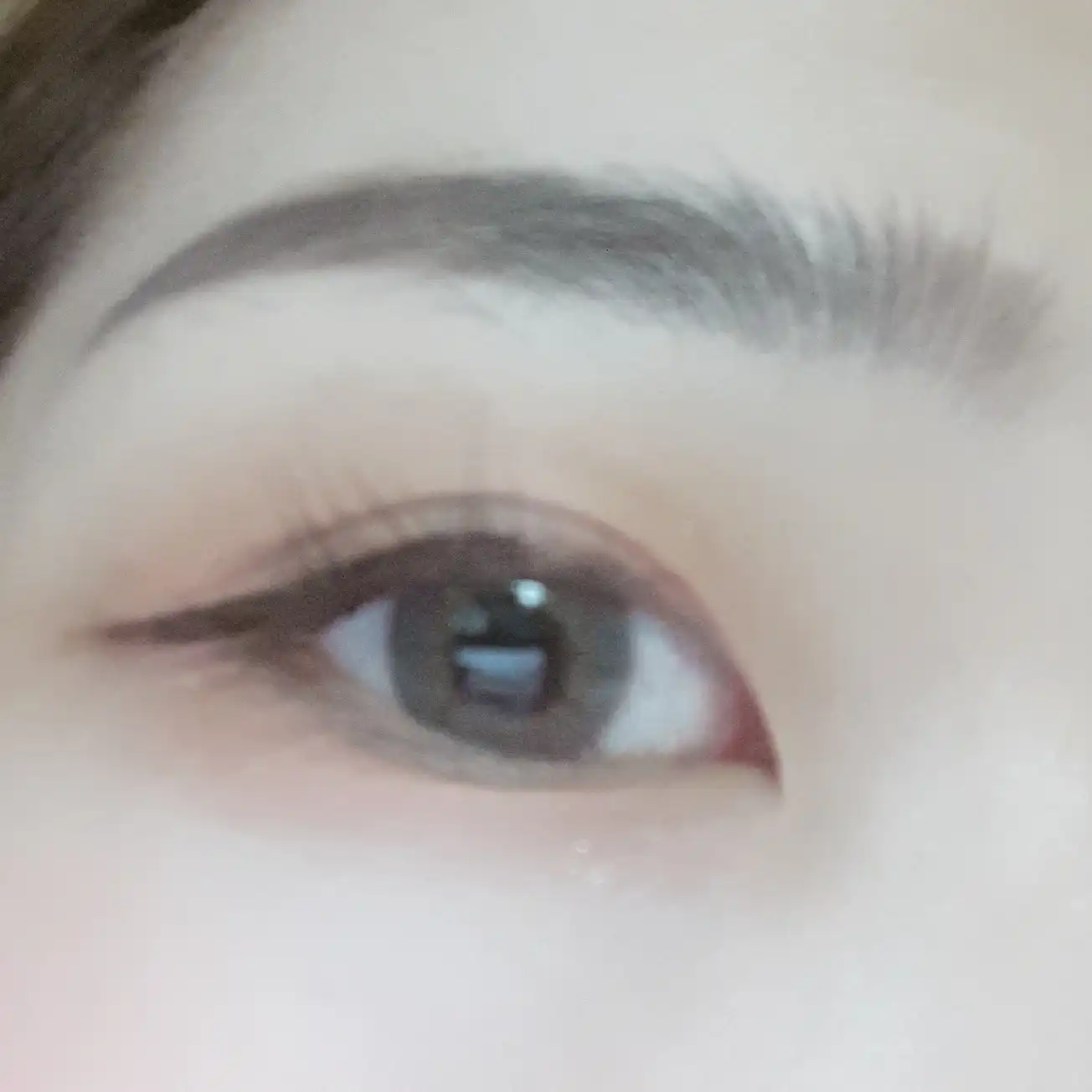 석류는_미녀를_시러해