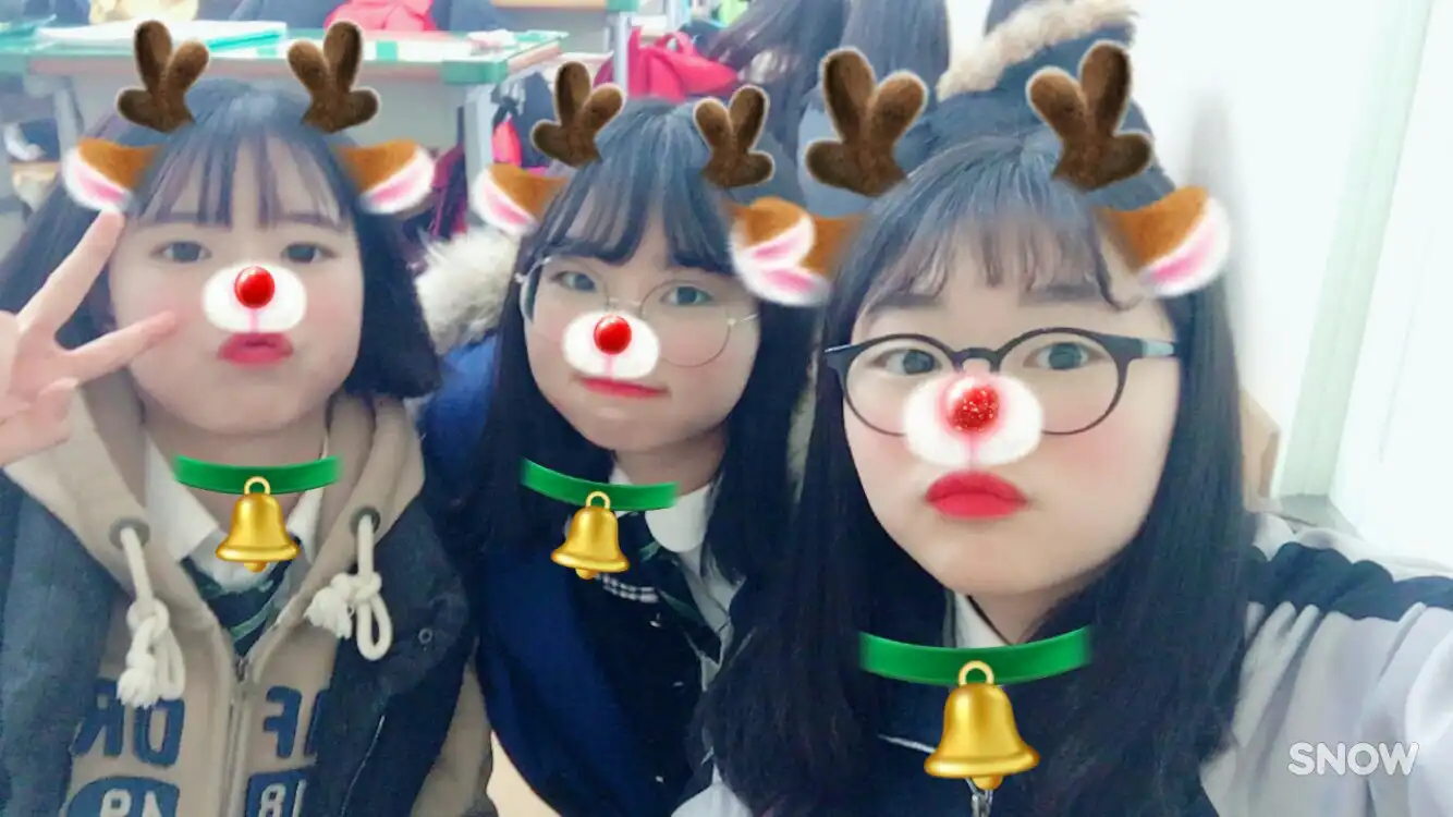 보라하는울보랑이