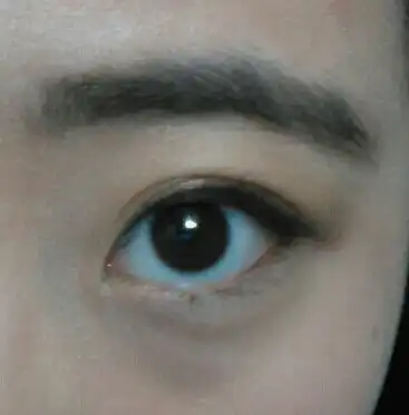 복실이언니