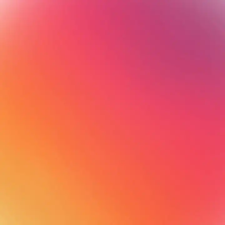 완듀콩듀